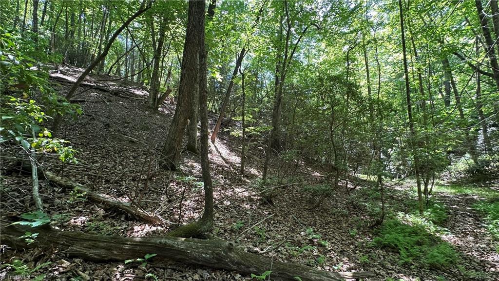 000 Idlewild Drive Property Photo 11