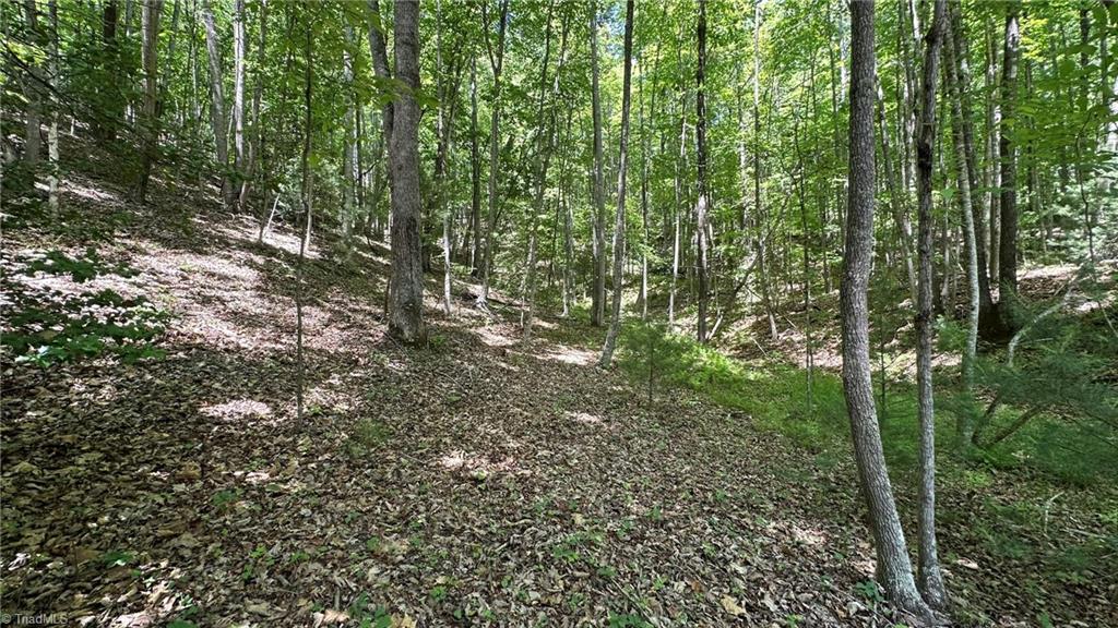 000 Idlewild Drive Property Photo 12