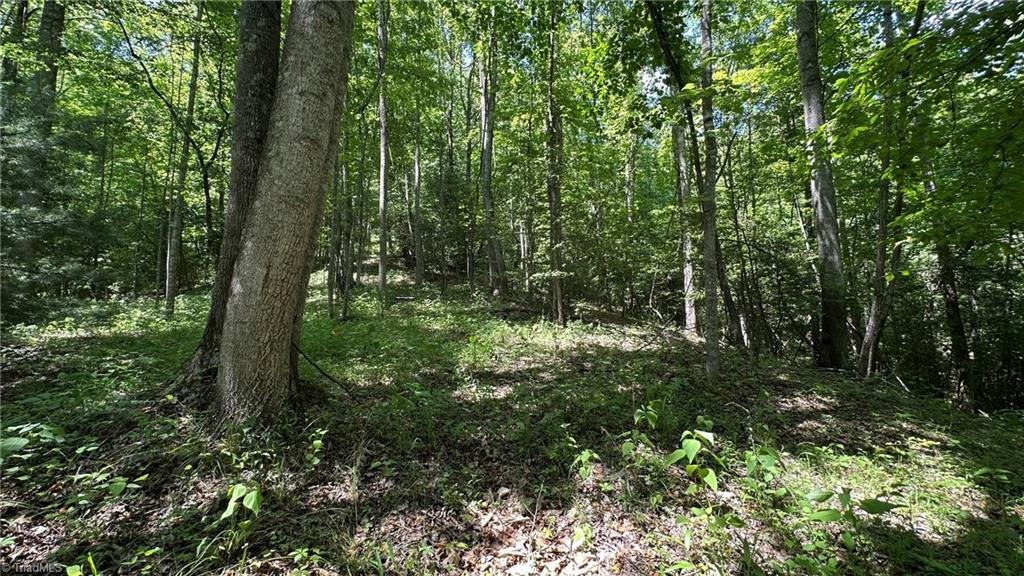 000 Idlewild Drive Property Photo 13