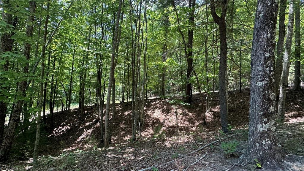 000 Idlewild Drive Property Photo 14