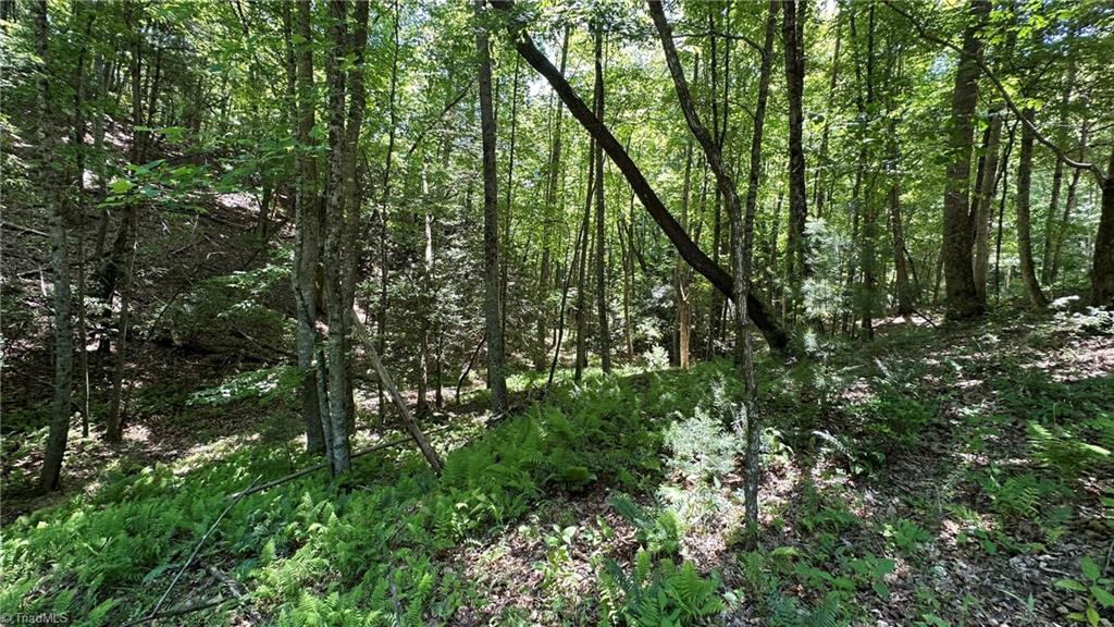 000 Idlewild Drive Property Photo 16