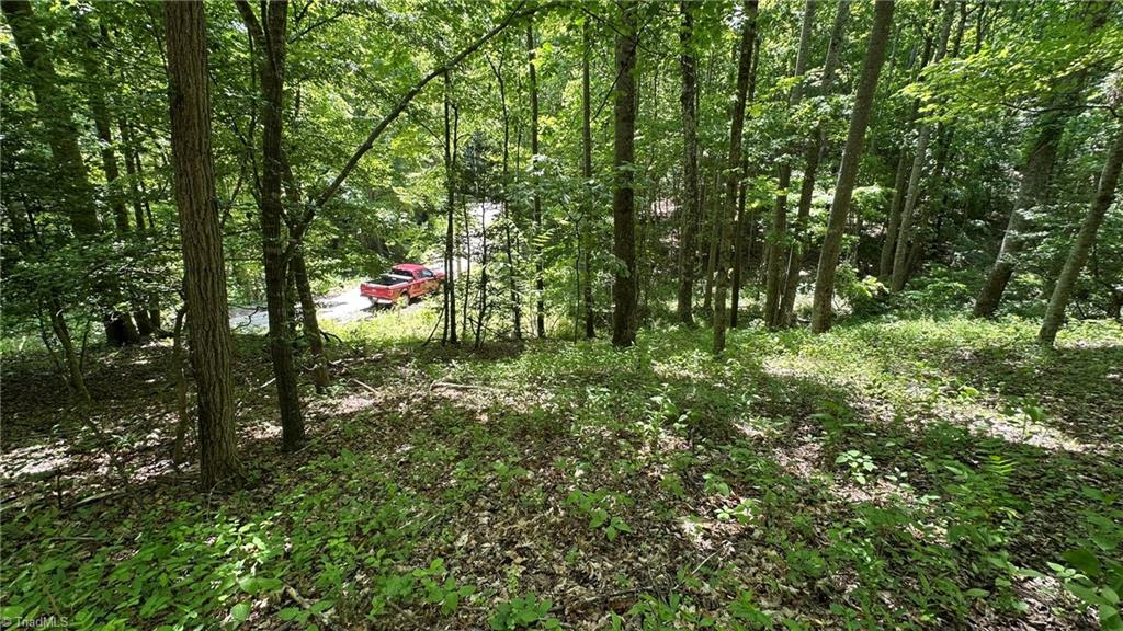 000 Idlewild Drive Property Photo 19