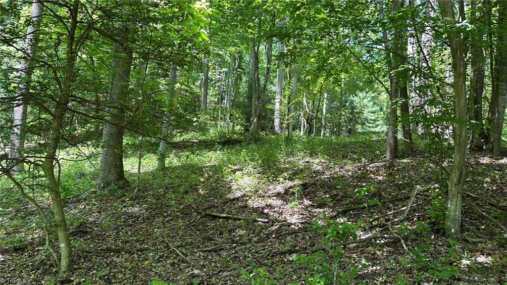 000 Idlewild Drive Property Photo 20
