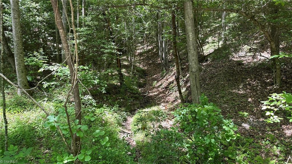 000 Idlewild Drive Property Photo 22