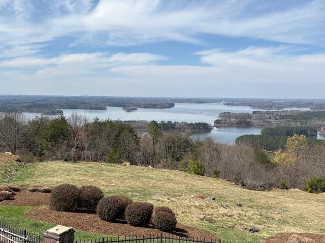 335 Healing Springs Drive Property Photo 5