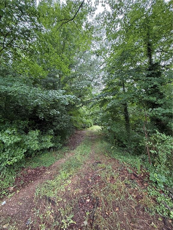 0 Pine Ridge Road Property Photo 1