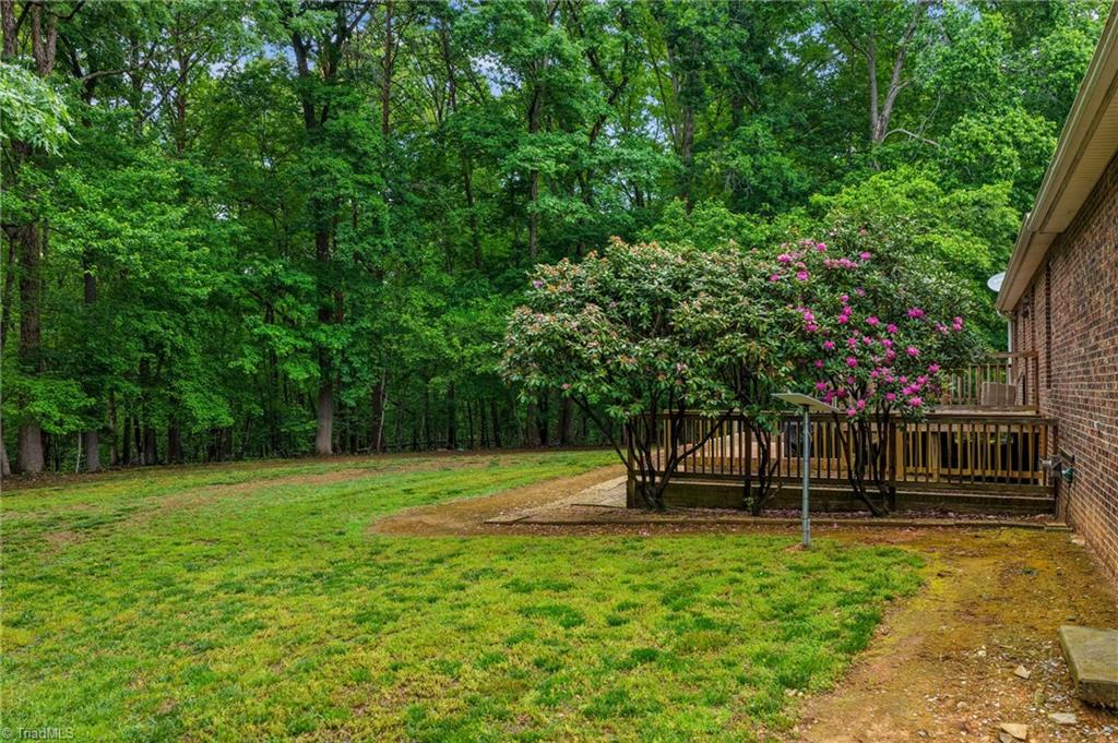 296 Cothran Hicks Road Property Photo 40