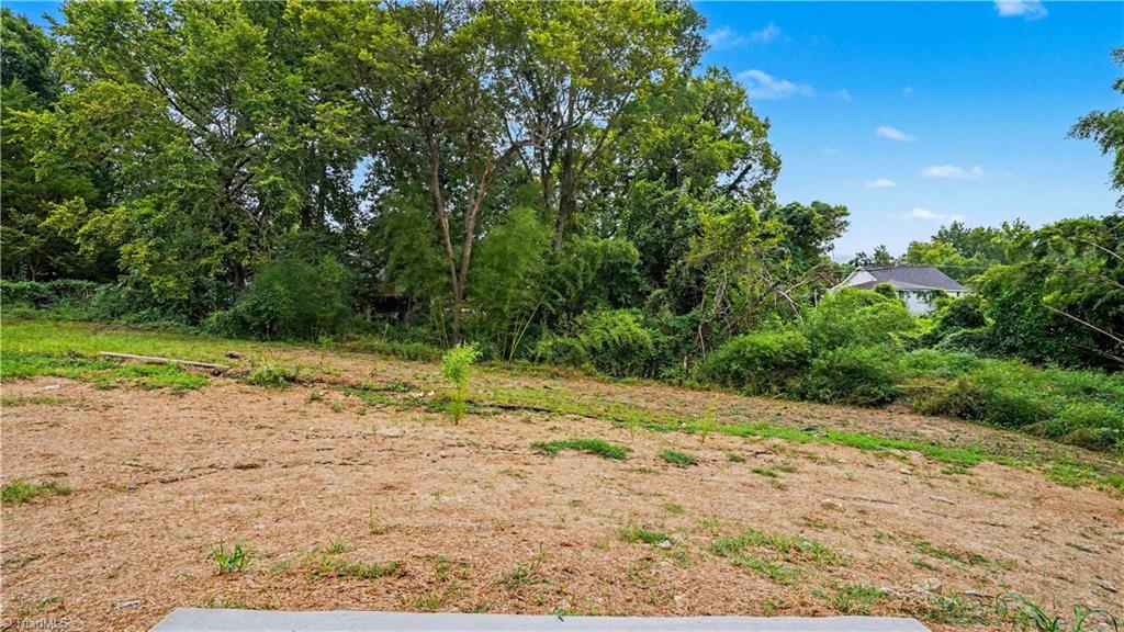 217 Lansdowne Street Property Photo 32