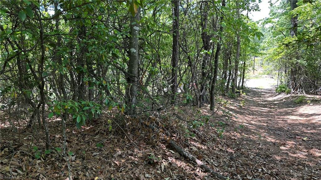 T23 Widow Mountain Drive Property Photo 5