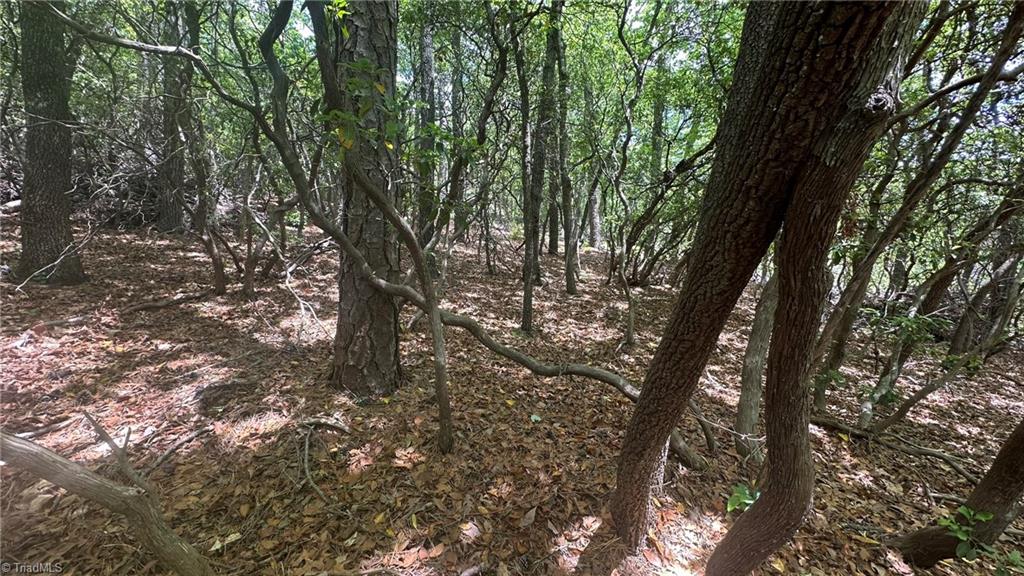 T23 Widow Mountain Drive Property Photo 8