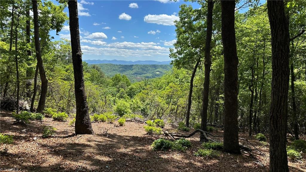 T23 Widow Mountain Drive Property Photo 10