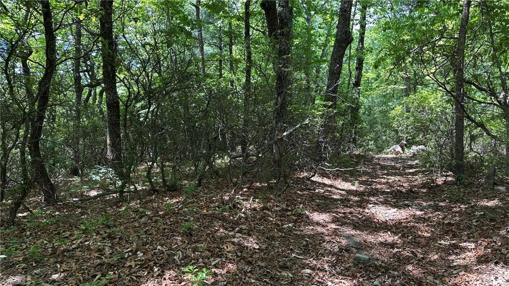 T23 Widow Mountain Drive Property Photo 11