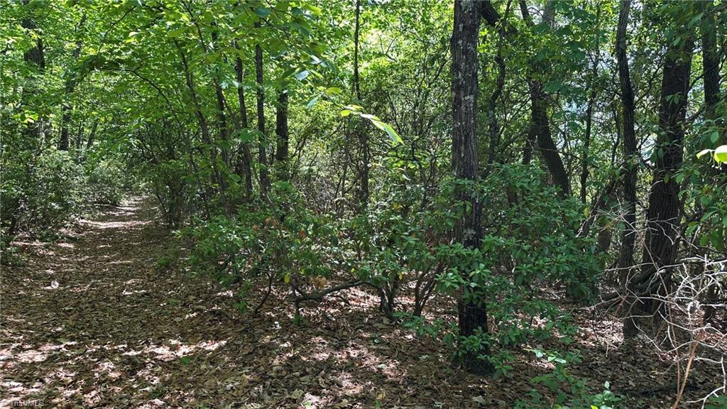 T23 Widow Mountain Drive Property Photo 13