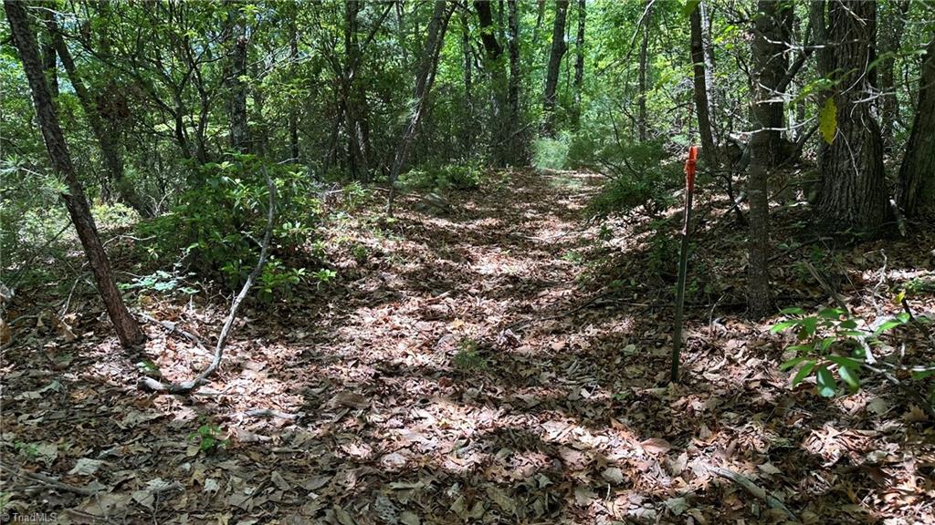 T23 Widow Mountain Drive Property Photo 14