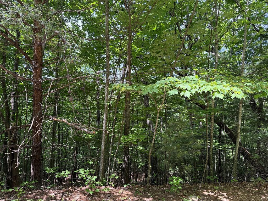 Lot 132a Warren Way Property Photo 1