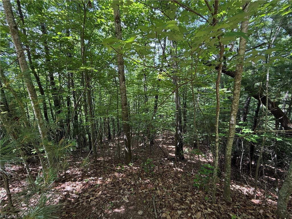 Lot 132a Warren Way Property Photo 2