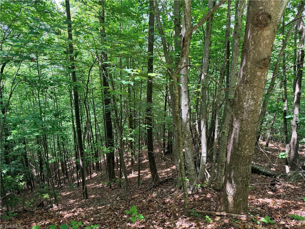 Lot 132a Warren Way Property Photo 5
