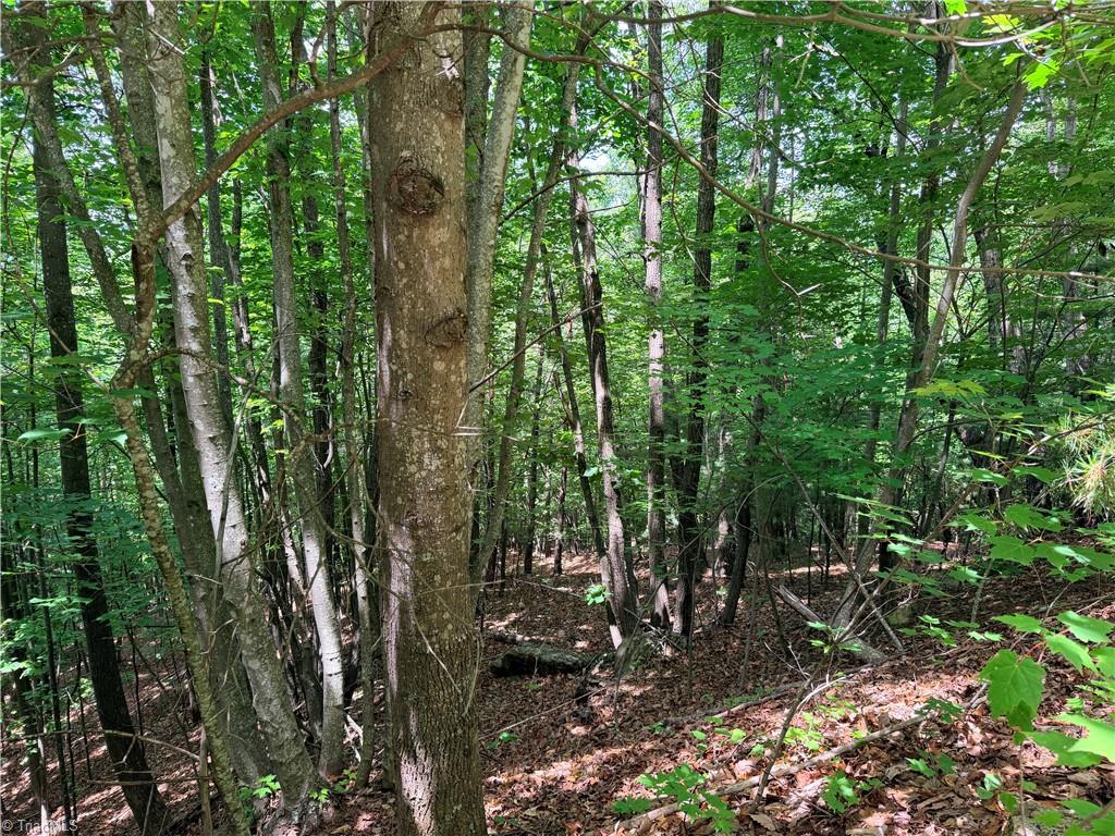 Lot 132a Warren Way Property Photo 6