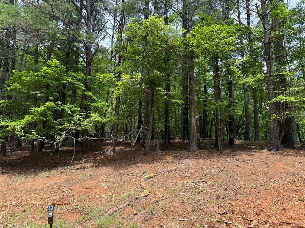 Lot 33 Jonathan Drive Property Photo 5