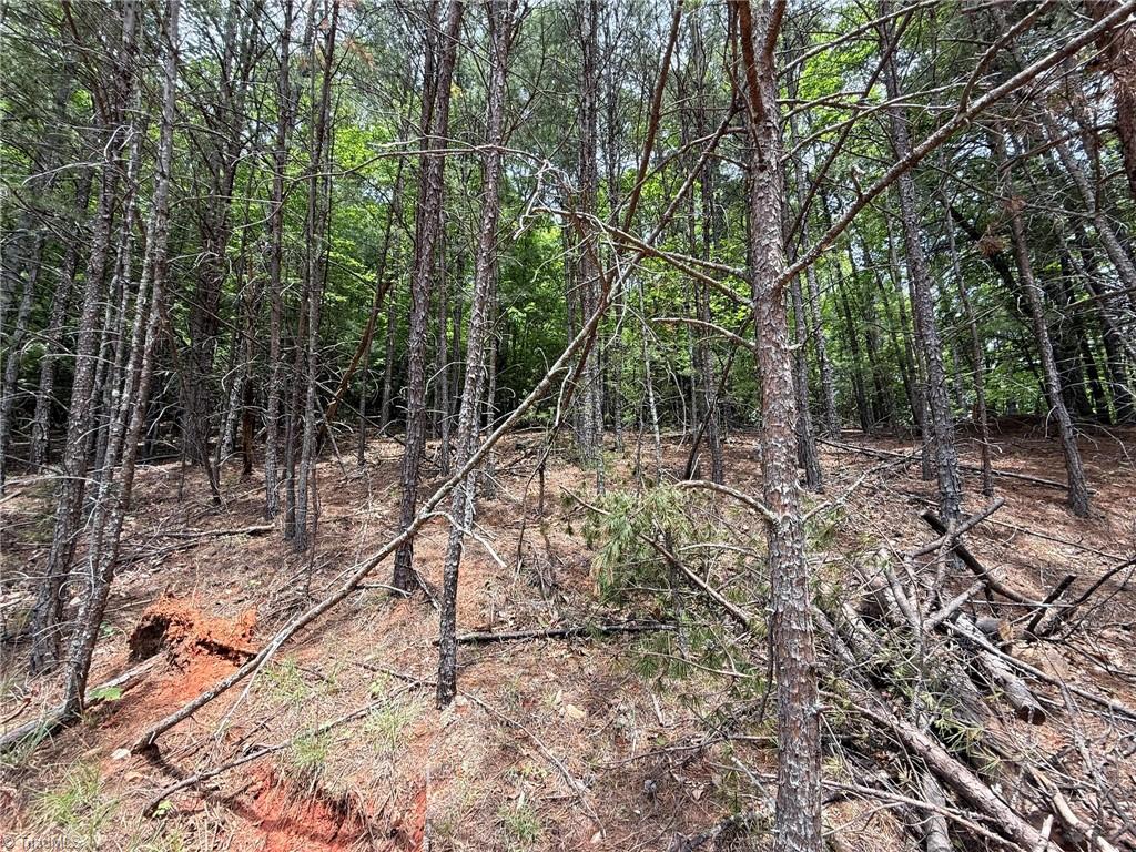 Lot 33 Jonathan Drive Property Photo 6
