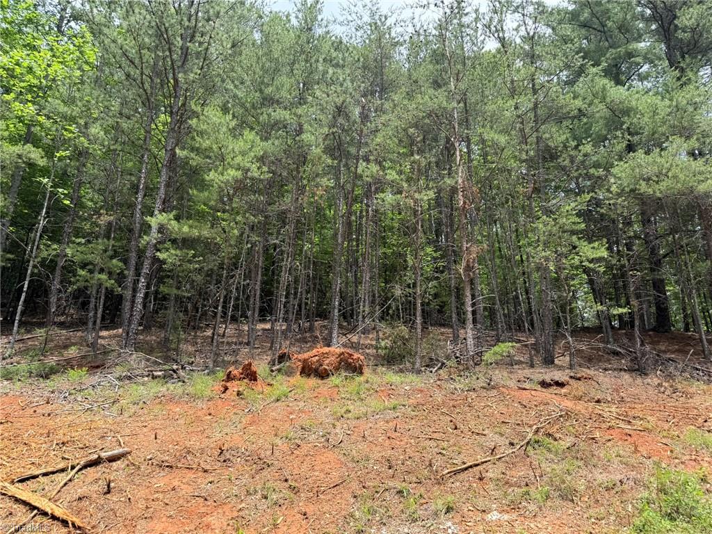 Lot 33 Jonathan Drive Property Photo 7