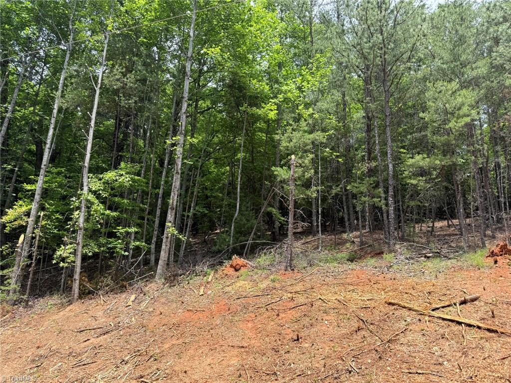 Lot 33 Jonathan Drive Property Photo 8