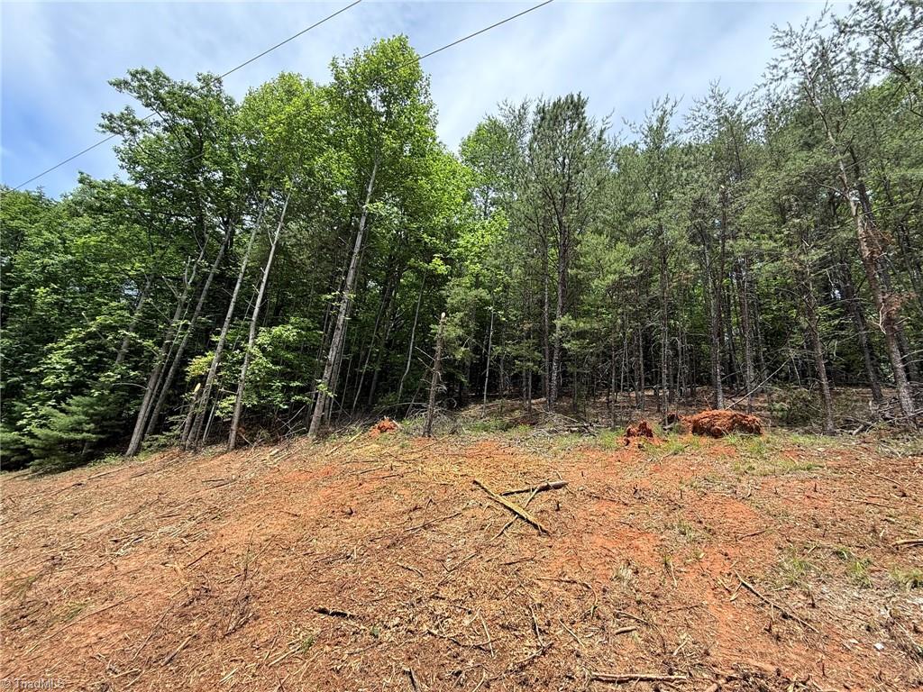 Lot 33 Jonathan Drive Property Photo 9