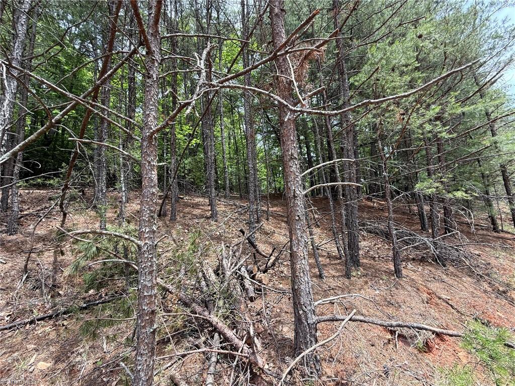 Lot 33 Jonathan Drive Property Photo 10