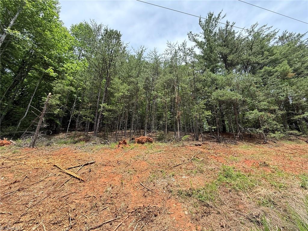 Lot 33 Jonathan Drive Property Photo 11