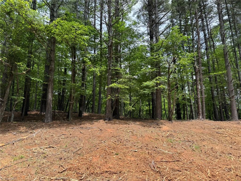 Lot 33 Jonathan Drive Property Photo 12