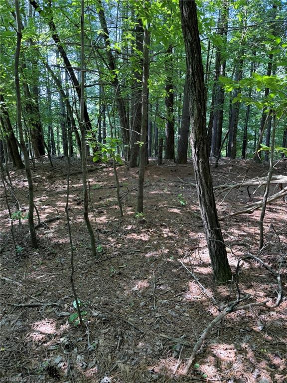 Lot 33 Jonathan Drive Property Photo 13