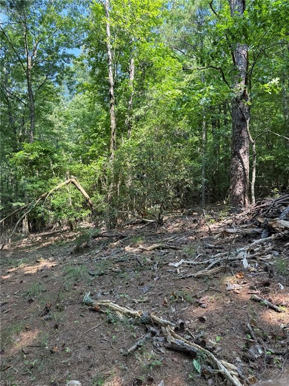 Lot 33 Jonathan Drive Property Photo 15