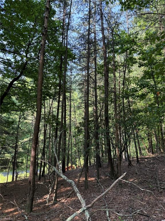 Lot 33 Jonathan Drive Property Photo 16