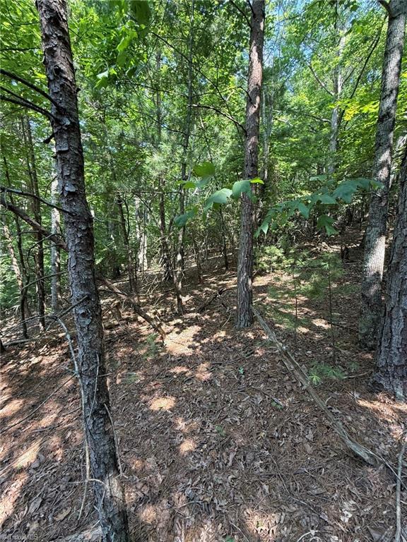 Lot 33 Jonathan Drive Property Photo 18