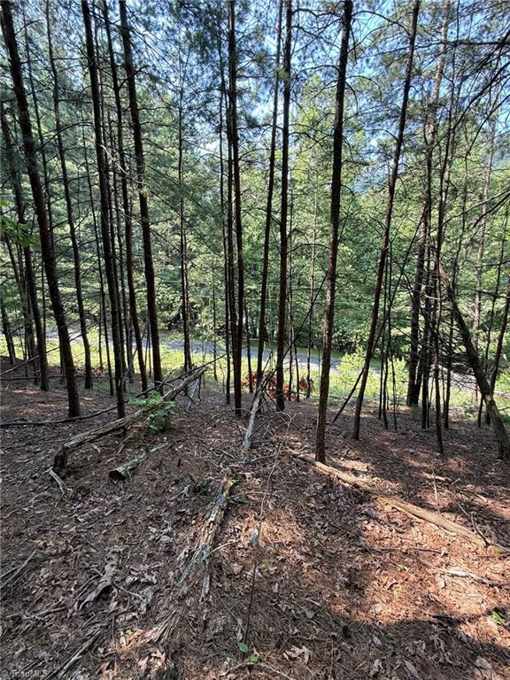 Lot 33 Jonathan Drive Property Photo 19