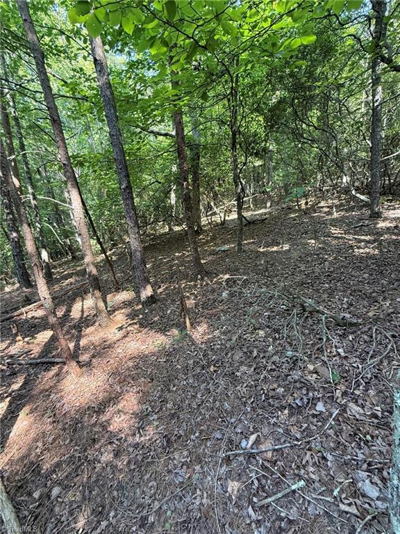 Lot 33 Jonathan Drive Property Photo 20