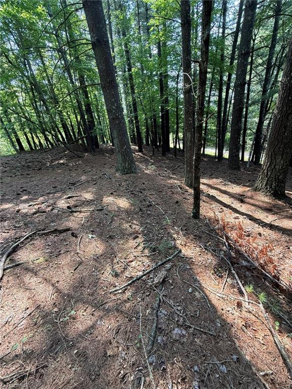 Lot 33 Jonathan Drive Property Photo 21
