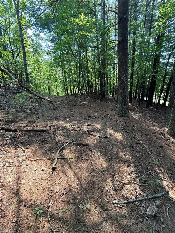 Lot 33 Jonathan Drive Property Photo 22