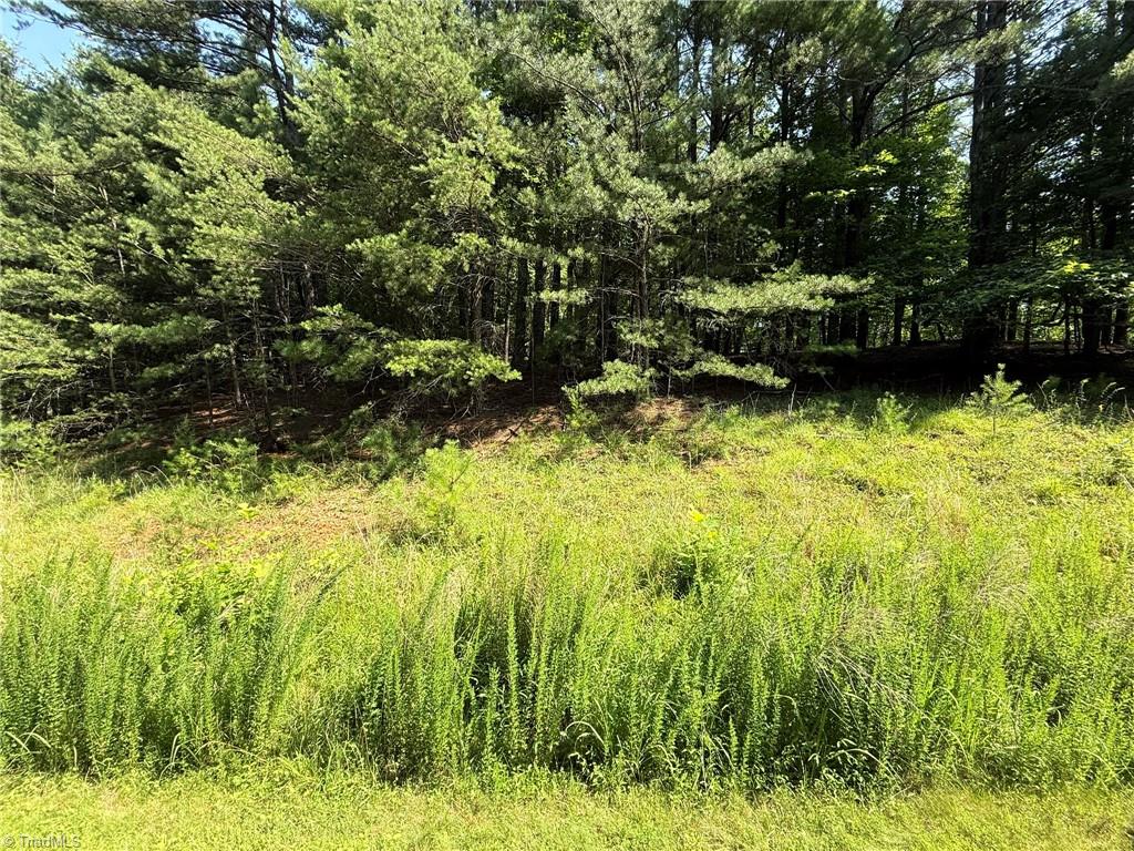 Lot 33 Jonathan Drive Property Photo 24
