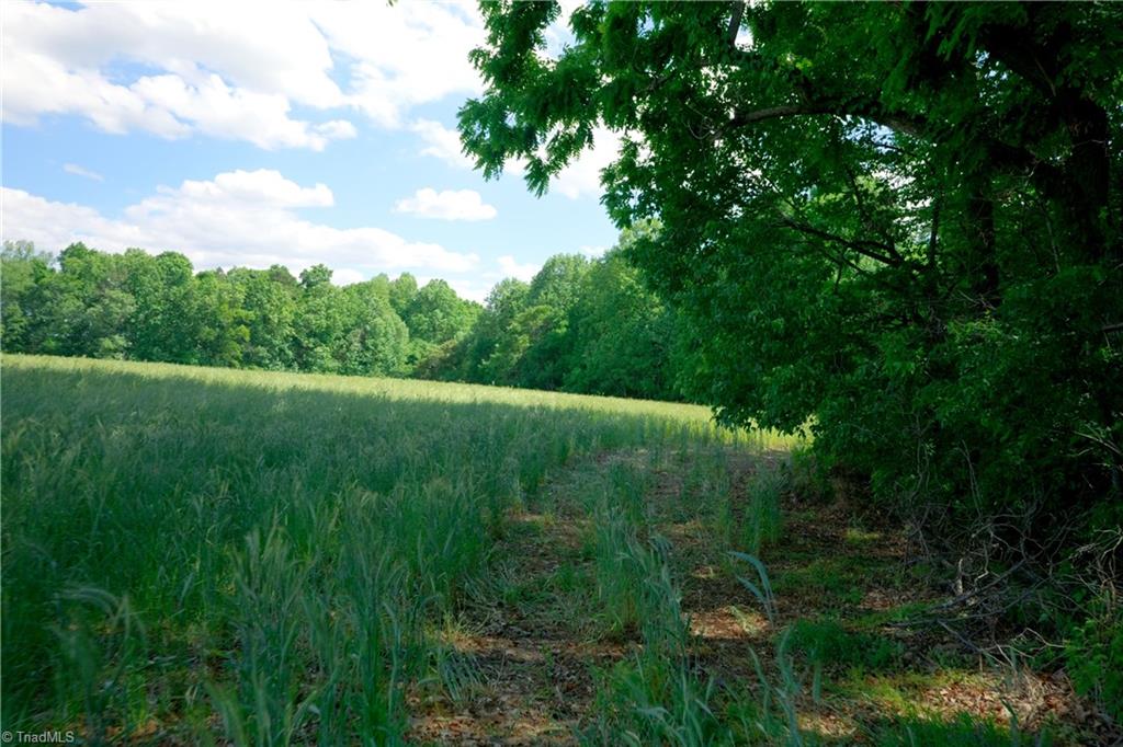 1 Powell Bridge Road Property Photo 11
