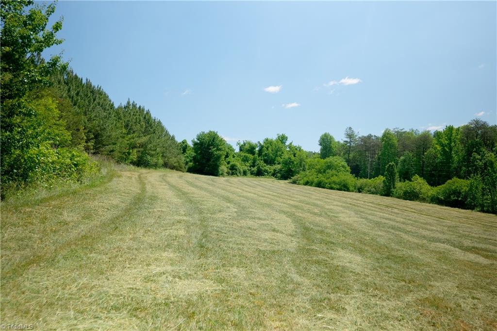 4 Morrison Road Property Photo 3