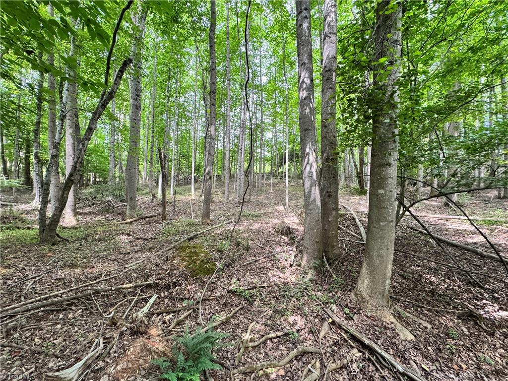 429 Wayne Marshall Road Property Photo 13