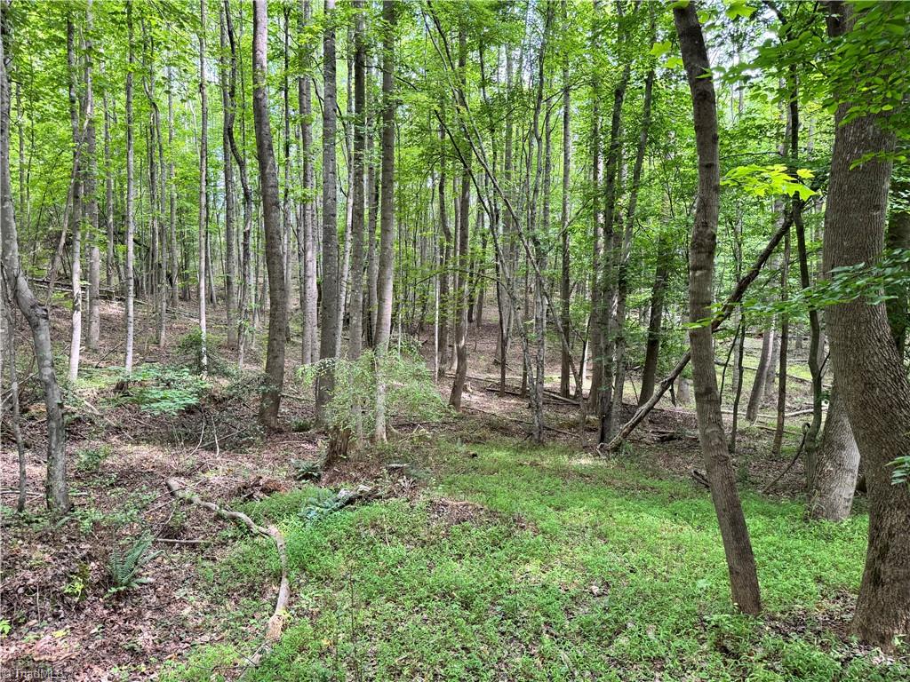 429 Wayne Marshall Road Property Photo 14