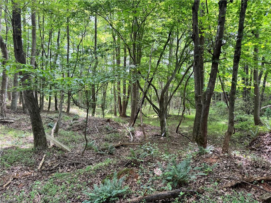 429 Wayne Marshall Road Property Photo 15
