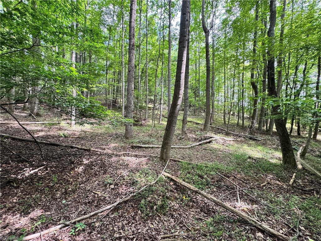 429 Wayne Marshall Road Property Photo 17