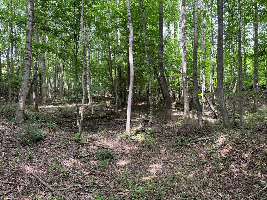 429 Wayne Marshall Road Property Photo 18