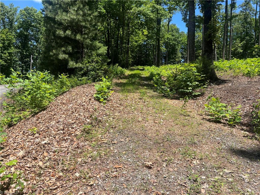 Tbd Wilderness Road Property Photo 2