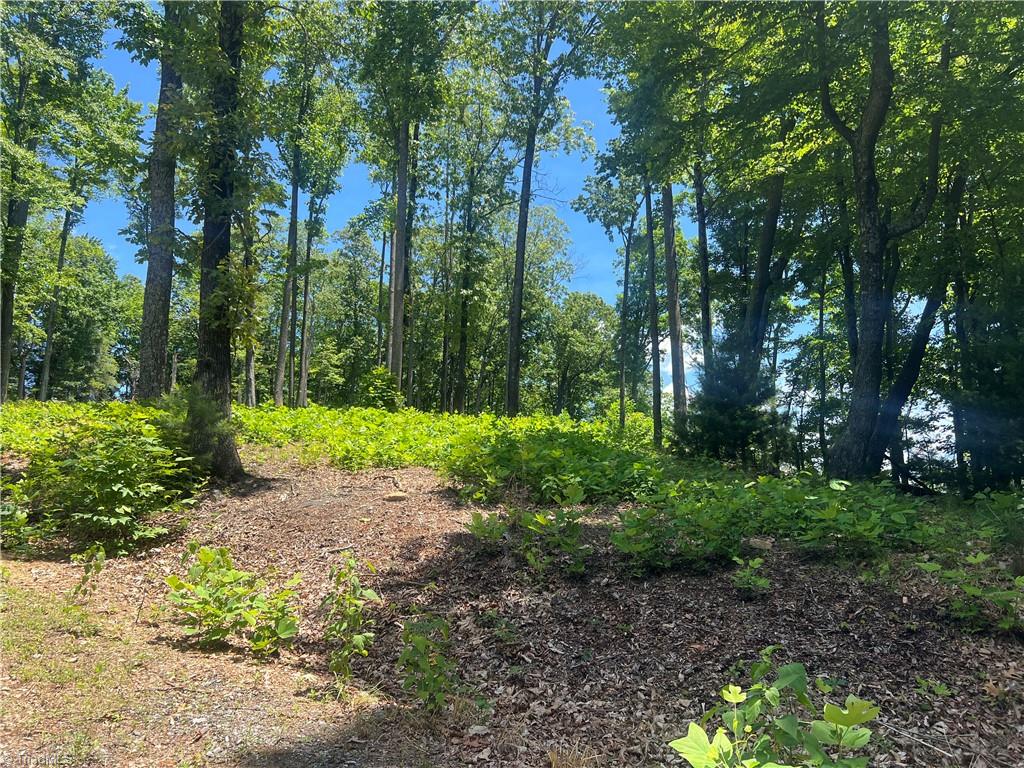 Tbd Wilderness Road Property Photo 3