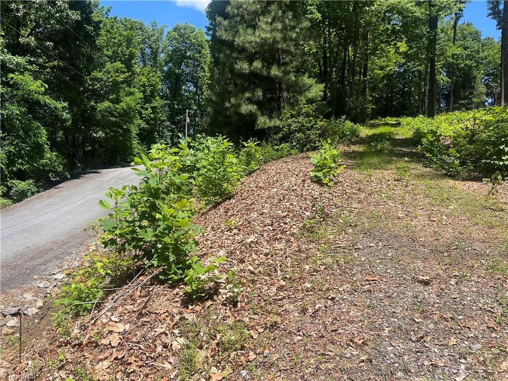 Tbd Wilderness Road Property Photo 4