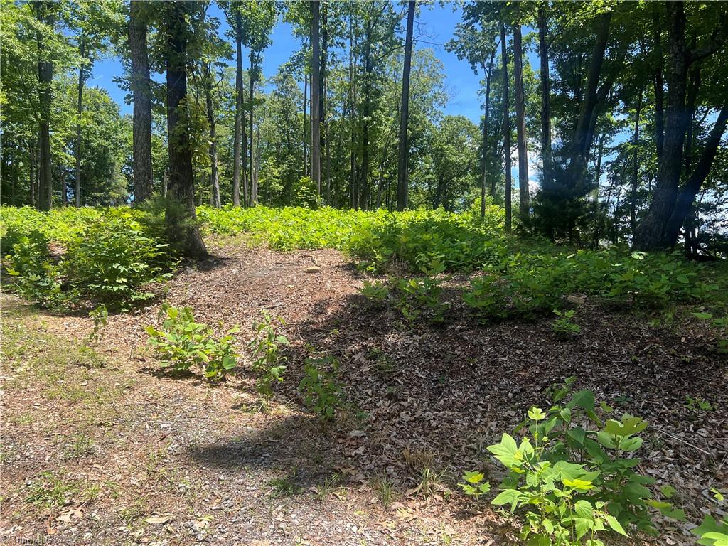 Tbd Wilderness Road Property Photo 5